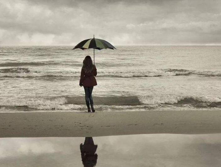 1707282335480159.png 1707282335480159.png